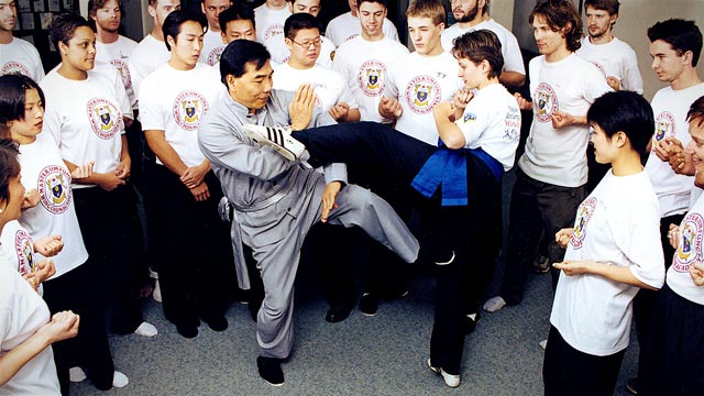 About the International Wing Chun Academy